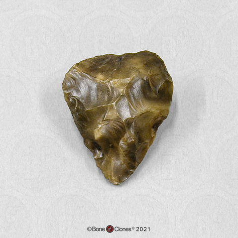 Fossil Hominid Tool Bi-facial Hand-Axe