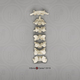 Siamang Cervical Vertebrae, set of 7