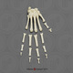 Vervet Hand, Semi-articulated