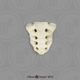 Human Male Asian Robust Sacrum