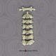 Human Male European Cervical Vertebrae, set of 7