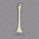 Humerus, 5-year-old Child