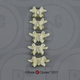 Human Adolescent Lumbar Vertebrae, Set of 5