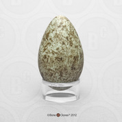 Raven Egg