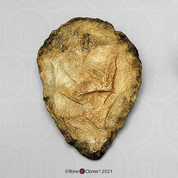 Acheulean Hand Axe