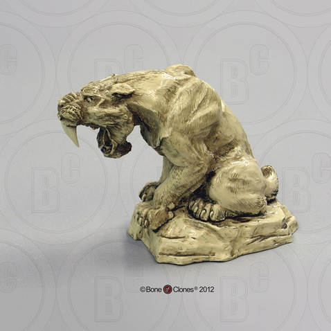 Sabertooth Cat Sculpture, Ivory (faux) Finish