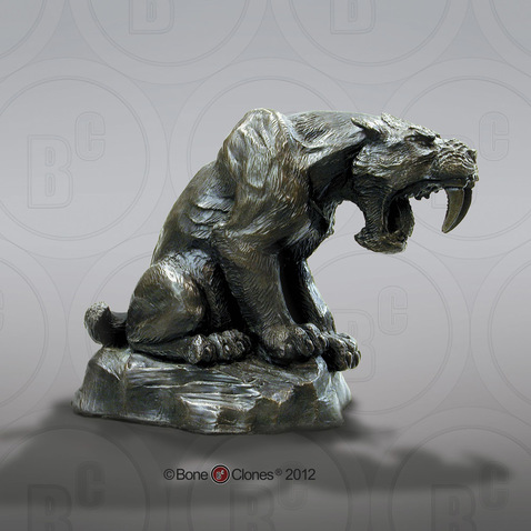 Sabertooth Cat Sculpture, Bronze (faux) Finish