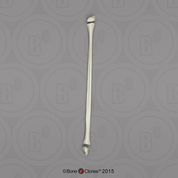 Fibula and Epiphysis - 3 pcs