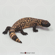 Gila Monster (Life Cast)