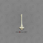 Horse Thoracic Vertebra, Single