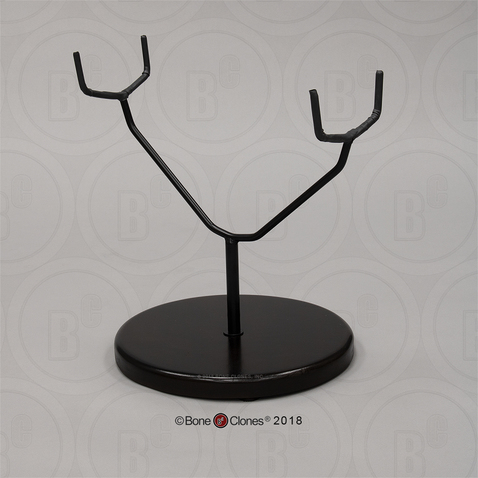 Table Stand for Humpback Whale Vertebra