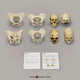 Forensic Anthropology K-12 Set: Sex Estimation