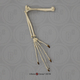 Aye-aye Arm, Articulated without Scapula