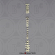 Human Male European Vertebral Column-all 24 Vertebrae, Disarticulated