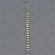 Human Adolescent Vertebral Column all 24 Vertebrae, Disarticulated