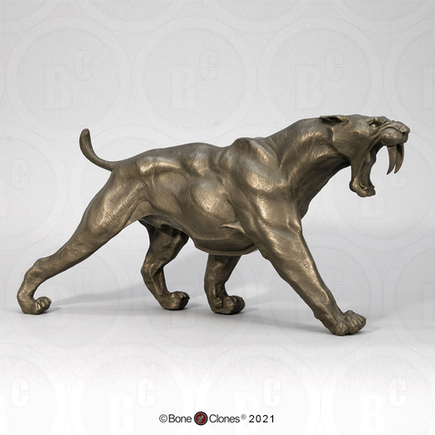 Sabertooth Cat Sculpture by Jim Kagel