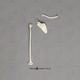 Siamang Humerus, Scapula and Clavicle Set